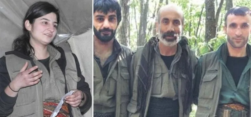 Terör örgütünün dağ kadrosu çöktü!