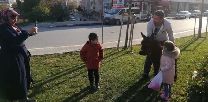 İstanbul'un en kalabalık ilçesinde vatandaşların eşek ve sıpa şaşkınlığı