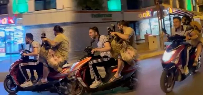 Sultanbeyli’de bir garip olay! Koyunun motosikletteki yolculuğu kamerada