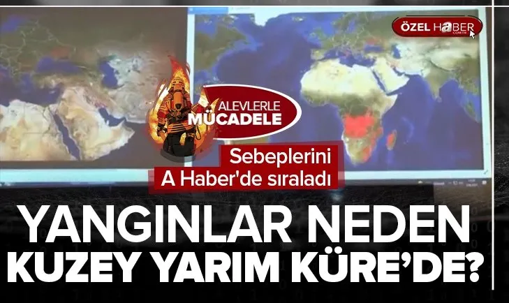 Kuzey Yarım Küre’de neden orman yangınları çıkıyor? Yangınların nedenleri neler?