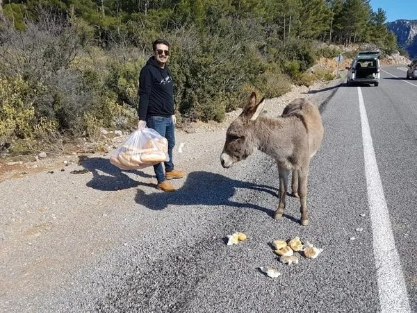 Son dakika: Hayvan hakları yasası tamam! İşte madde madde tarihi düzenleme - 5