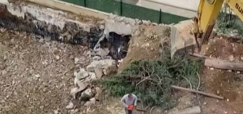 CHP'li Maltepe Belediyesi'nde ağaç katliamı! Toprağa gömdüler