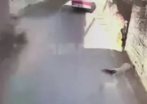 ispartada-kopege-carpip-yoluna-devam-eden-sofor-kamerada-1636964955908.jpg Isparta’da köpeğe çarpıp yoluna devam eden şoför kamerada - 4