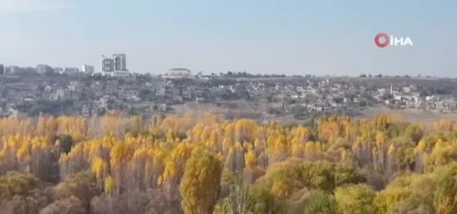 Diyarbakır'da 8 bin yıllık Hevsel Bahçeleri'nde renk cümbüşü dron ile görüntülendi