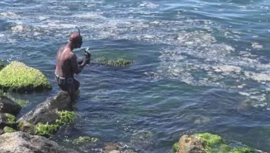 İstanbul'da deniz salyası şoku! Menekşe Deresi de... - 5