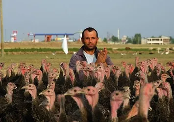 Memleket hasreti çiftlik sahibi yaptı