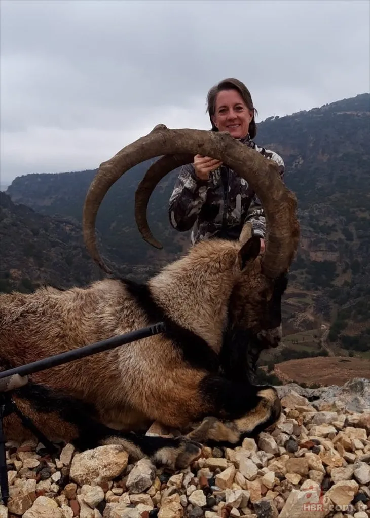 ABD’li kadın avcının Adıyaman’da avladığı dağ keçisi herkesi şoke etti!