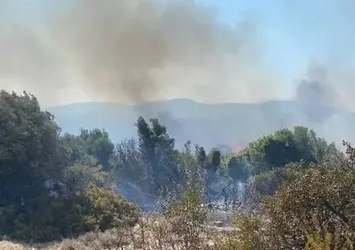 İzmir'de makilik yangını