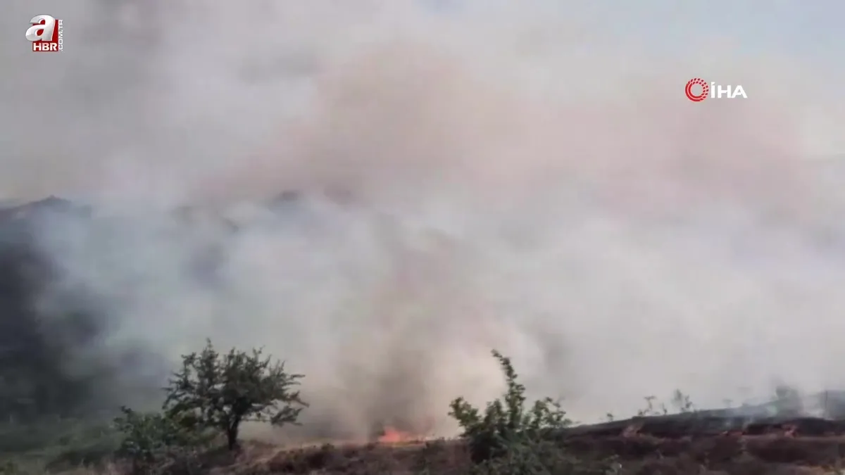 Buğday tarlasında yangın