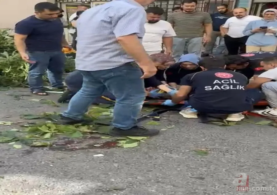 Ünlü oyuncu İbrahim Yıldız'ın üzerine ağaç düştü: Yaşam mücadelesi veriyor | Kaza anı ortaya çıktı 3