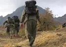 Bakan Soylu duyurdu: İki terörist etkisiz hale getirildi