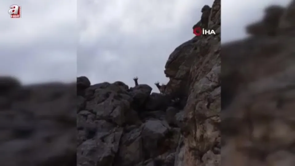 Dağların eşsiz tırmanıcıları kamerada