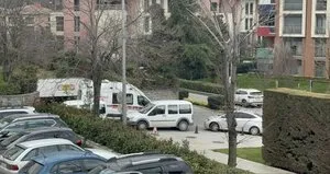 Dehşet! 3 kişiyi katledip kaçtı