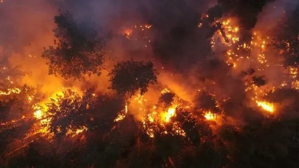 Başkan Recep Tayyip Erdoğan’dan gündeme özel son dakika açıklamaları: Türkiye’nin Taliban ile bundan sonraki süreci nasıl işleyecek? Düzensiz göçmen sorunu...