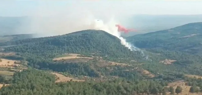 Manisa’da orman yangını! Havadan ve karadan müdahale başladı