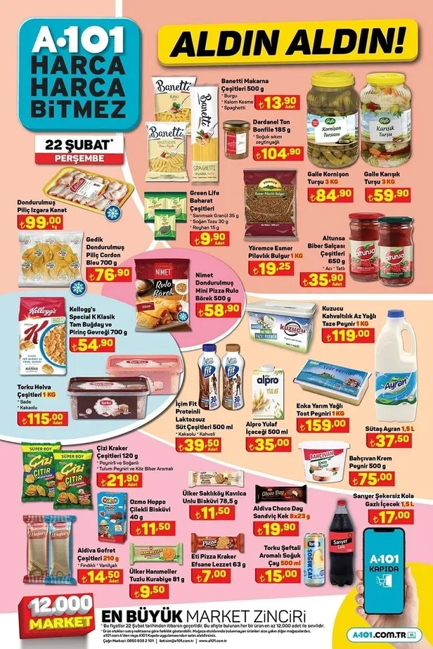 23 Şubat A101 aktüel ürünler kataloğu yayında! A101’e yarın Toshıba smart TV, SEG ankastre set, Kiwi koltuk ve halı yıkama makinesi…