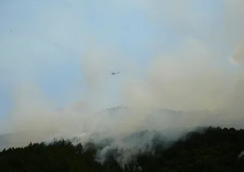 Kastamonu'da yıldırım düştü orman yangını çıktı! Ekipler seferber oldu