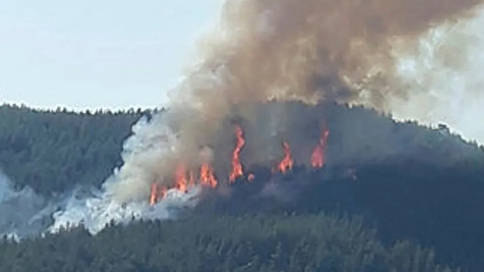 Burdur’da orman yangını çıktı
