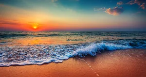 Sakarya’da denize girmek yasaklandı