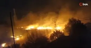 Şanlıurfa’da orman yangını paniği!