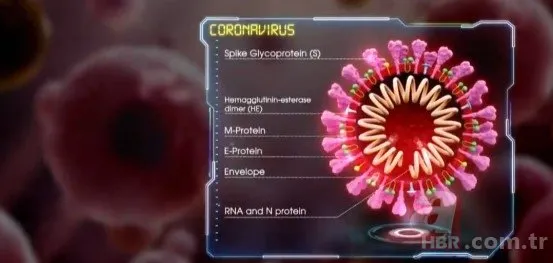 Koronavirüs Covid-19 korkusu jinekolojik kanserleri tetikleyebilir