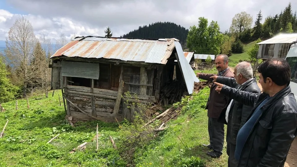 Artvin Şavşat'ta ayılar korku saldı