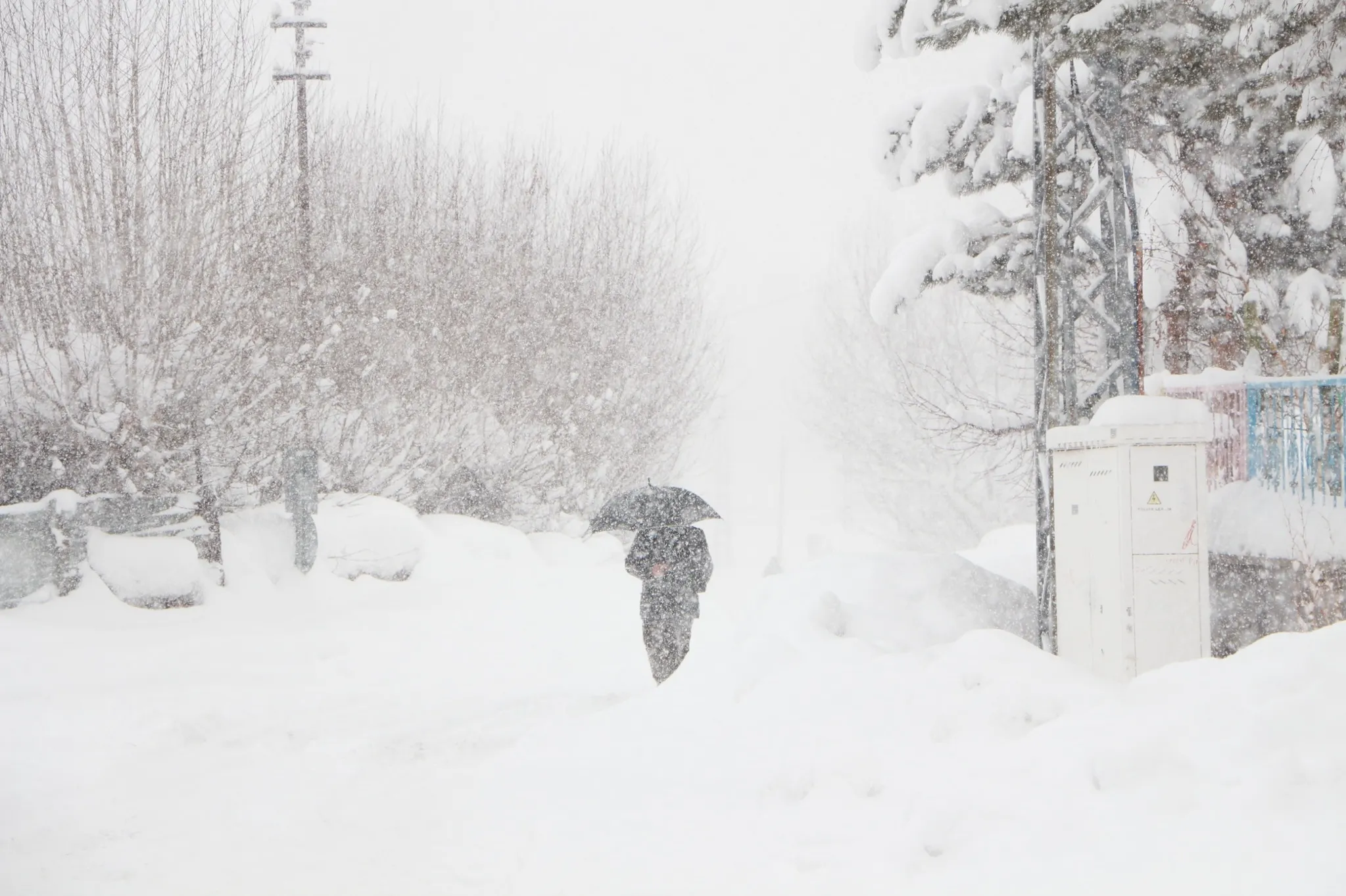 Bingöl'de tüm köy yolları kardan kapandı