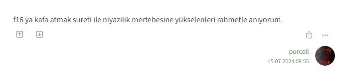 FETÖ'den beteri Ekşi Sözlük! Şehitler ve gazilere alçak sözler - 7