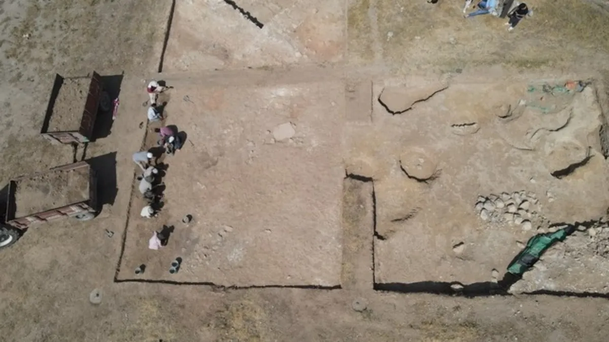 3 bin 500 yıllık fındık fosili bulundu