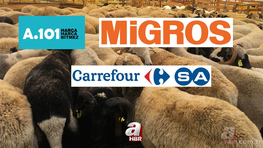 Marketlerde kurban fiyatı ne kadar? A101, Migros, CarrefourSA küçükbaş büyükbaş 2021 kurbanlık fiyatları kaç TL? 1