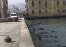 İzmir’de ulaşıma ’su çekilmesi’ engeli
