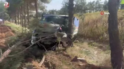 Kamyonet ağaca çarptı sürücü yaralandı