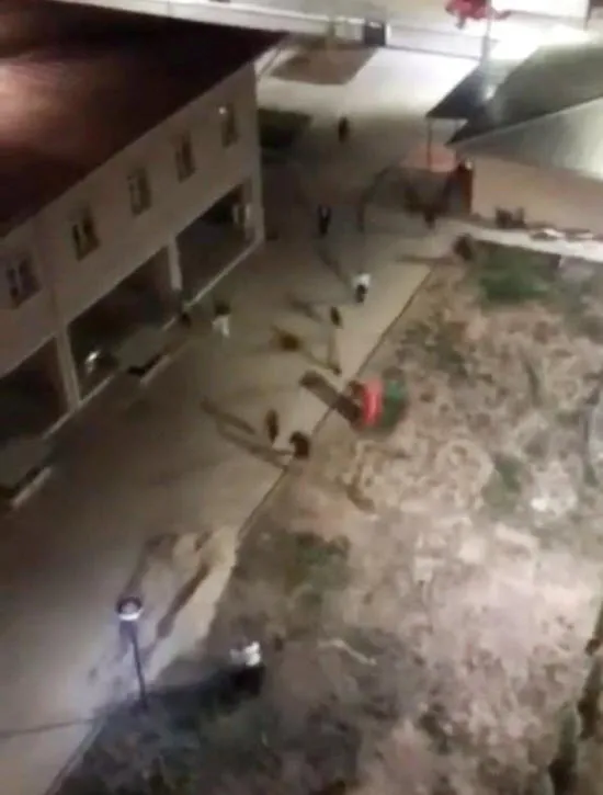 1667471123290.jpg Kız yurduna satırla girdi! Öğrenciler korkuyla bağırdı: Sabaha çıkartmam seni - 3