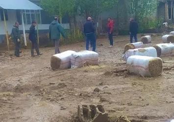 Van'da sağanak sele neden oldu