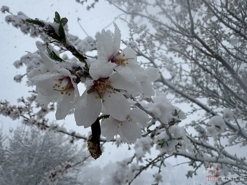 Kutup soğuklarıyla Türkiye buz kesti! 48 ile kar alarmı: İstanbul, Ankara... 19 Mart hava durumu raporu 2