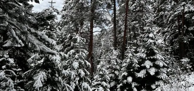 Sinop’a mevsimin ilk karı yağdı