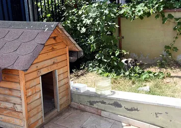 Daire 16'nın zaferi! Köpük yerinde kalacak