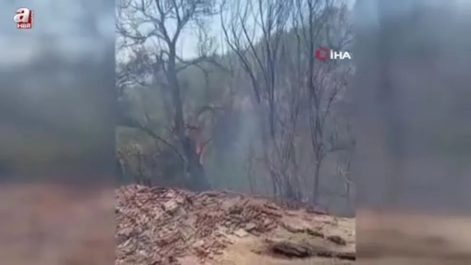 İznik’te orman yangını söndürüldü