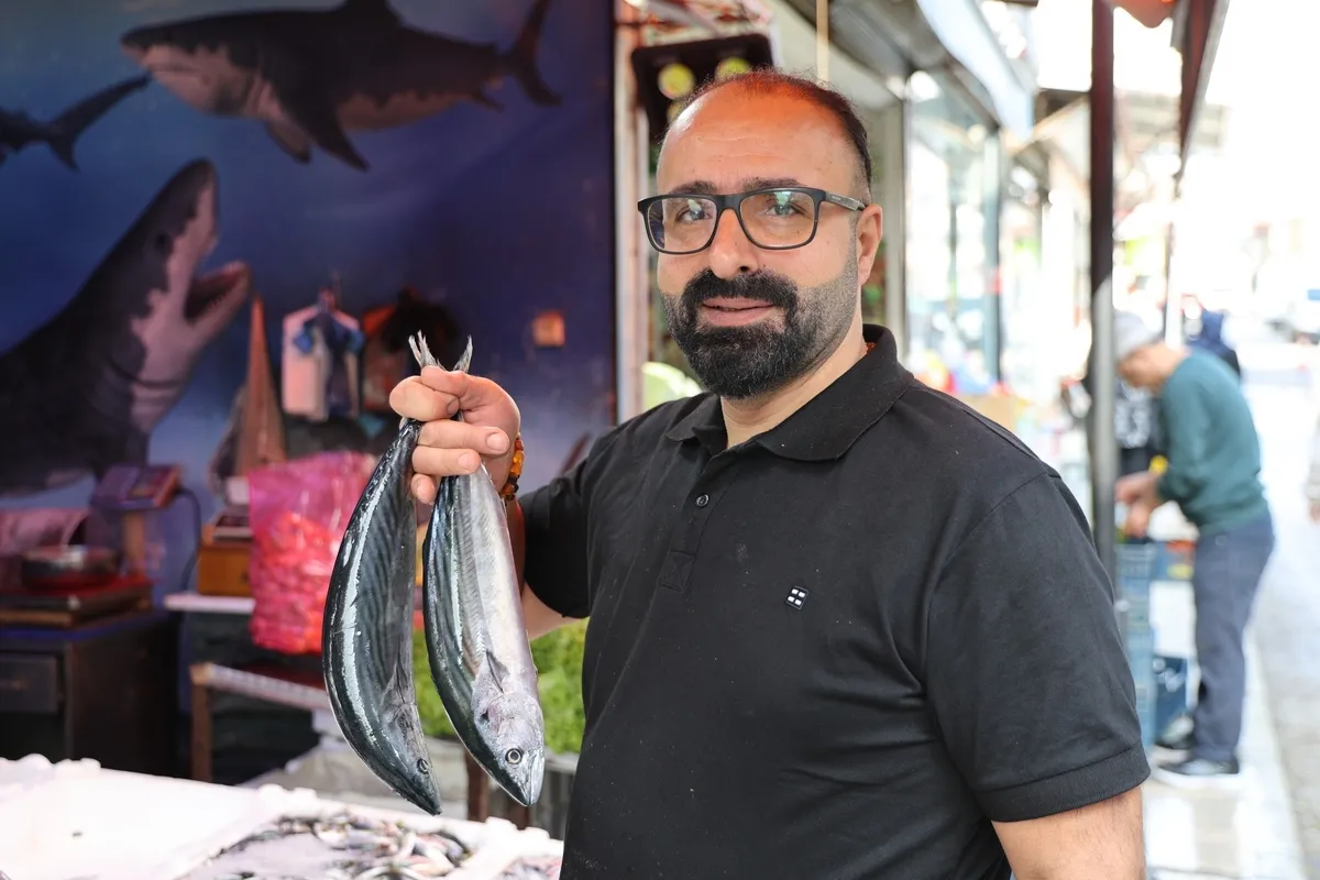 Kastamonu Cide’de kiloluk palamut 200 liradan 40-60 liraya düştü! Limandaki satış noktalarında uzun kuyruklar - 4
