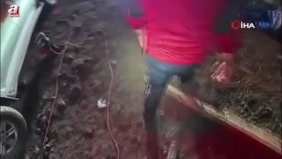 Artvin'de çöken ahırda mahsur kalan 33 büyükbaş hayvan kurtarıldı