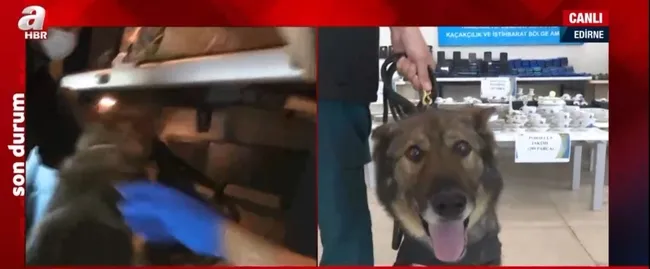 Sınırda kaçakçılık operasyonu! 9 milyon liralık kaçak eşya ve yedek parça ele geçirildi