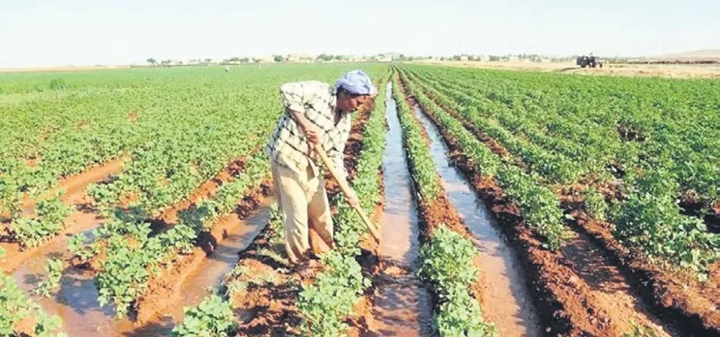 'Üretim Bakanlığı kurulsun'