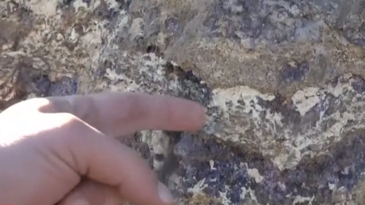 Berat Albayrak özel çalışma yapmıştı... Paylaşılamıyor! Nadir toprak elementleri (NTE) neden değerli?