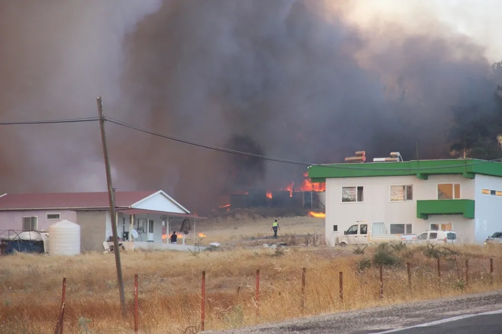 Orman yangınına 6 helikopter, 4 uçak, 22 arazöz ve 4 dozerle müdahale - 4