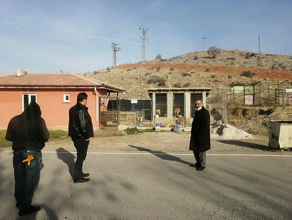 Tokat Zile'de 29 köpek boş arazide baygın bulundu - 1