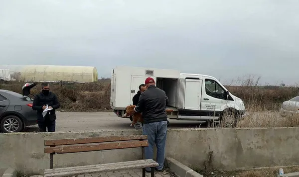 Edirne şoke eden olay! Balkona bağlanan köpek ipe asılı halde ölü bulundu - 2