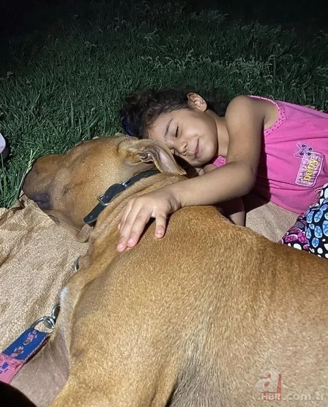 Asiye Ateş son durumu! Rektör Özkan açıkladı: Maalesef yüz felci var 19