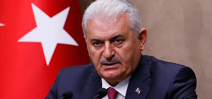 Başbakan Binali Yıldırım'dan Ayhan Oğan tepkisi