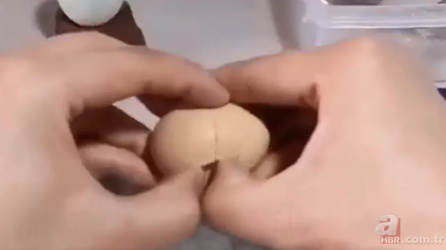 İşte civcivin yumurta içindeki gelişimi 🐣 İğne ile enjekte etti gün gün görüntüledi 🥚 9