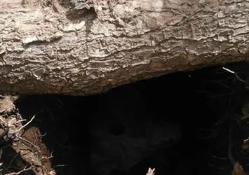 PKK’ya ait 2 sığınak imha edildi